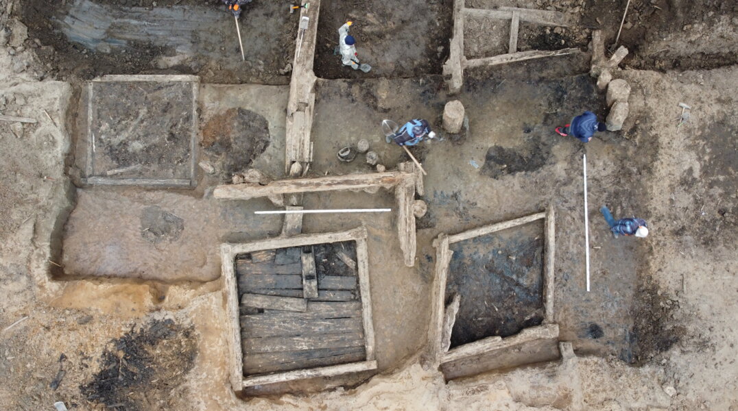 В Таиланде нашли останки древнего аллигатора