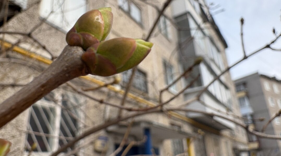 Специалисты рассказали о ближайшем значительном потеплении в Прикамье