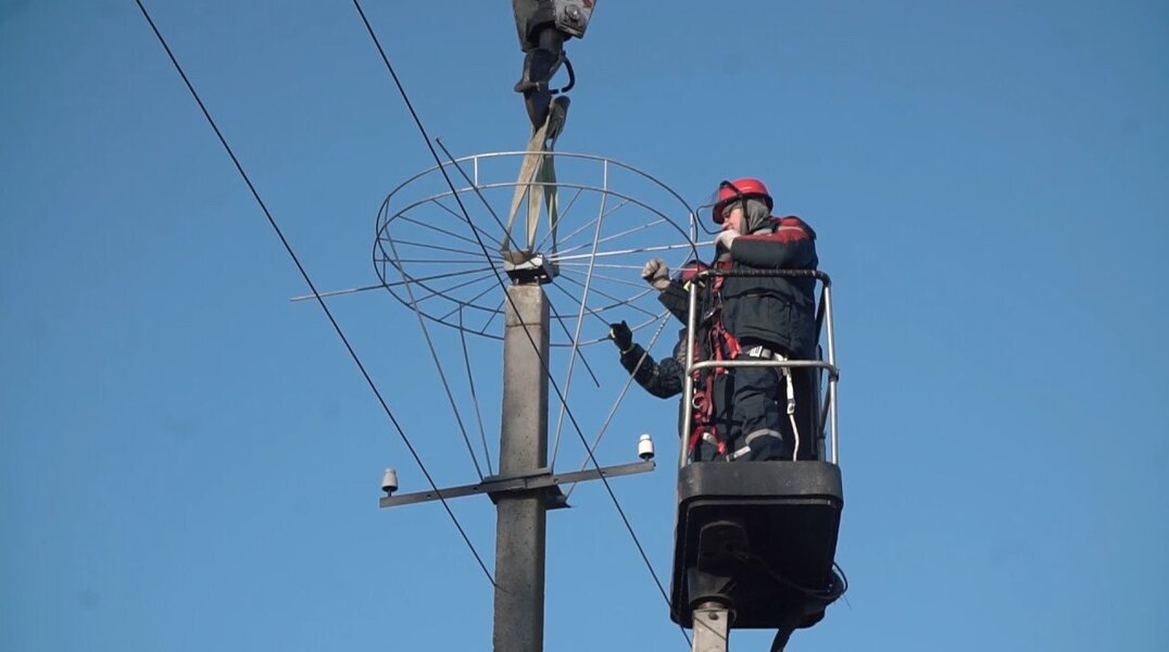 На линиях электропередач Прикамья установят более тысячи птицезащитных устройств