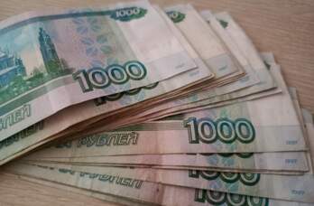 Количество плательщиков автоматизированной УСН в Прикамье превысило 8 тысяч