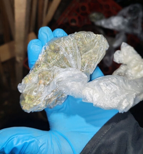 Двух пермяков задержали по подозрению в сбыте крупных партий марихуаны