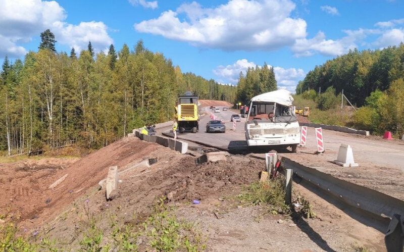 В Пермском крае в ДТП пострадали пожилая женщина и ребёнок
