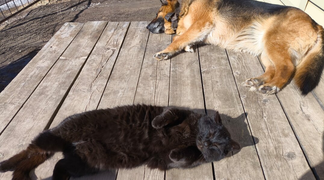 В Перми к середине дня побит температурный рекорд 74-летней давности