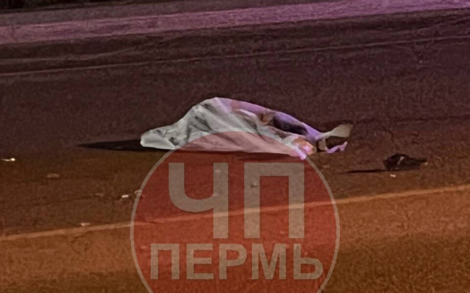 В Индустриальном районе Перми под колесами БМВ погибли два пешехода