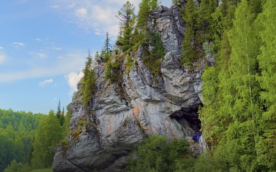 В пермском крае нашли новые места обитания краснокнижных животных и растений