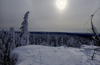 Пропавшие в Прикамье туристы могли укрыться в теплом убежище