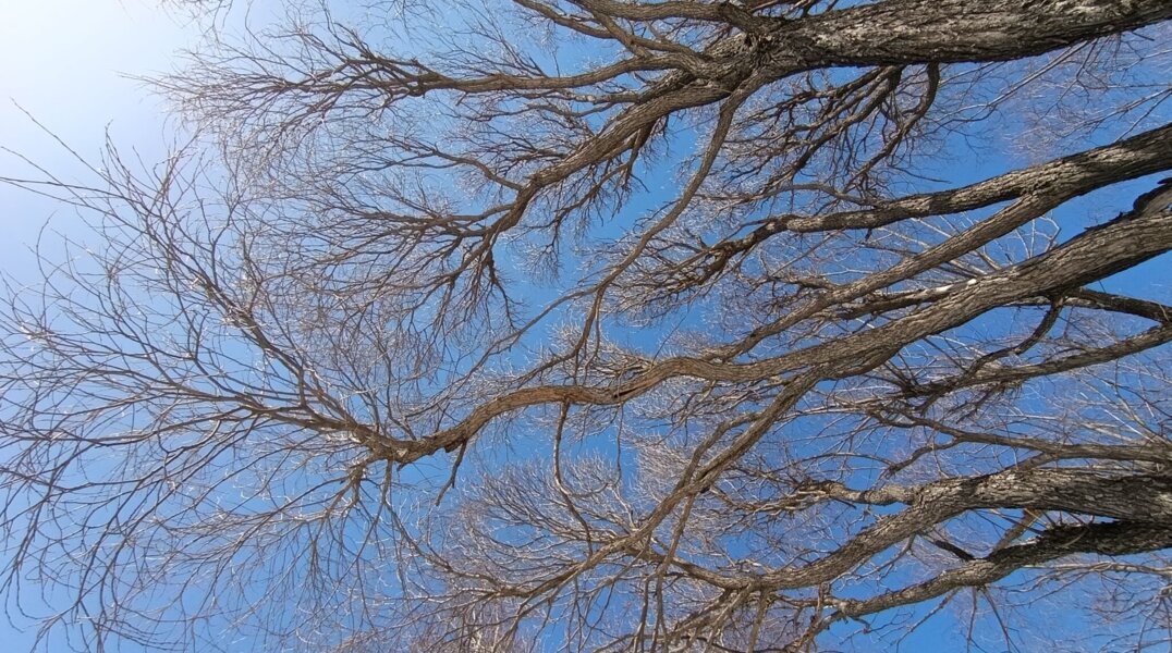 В Перми зафиксирован восьмой температурный рекорд подряд