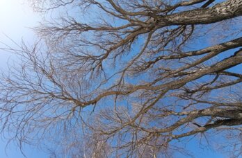 В Перми зафиксирован восьмой температурный рекорд подряд