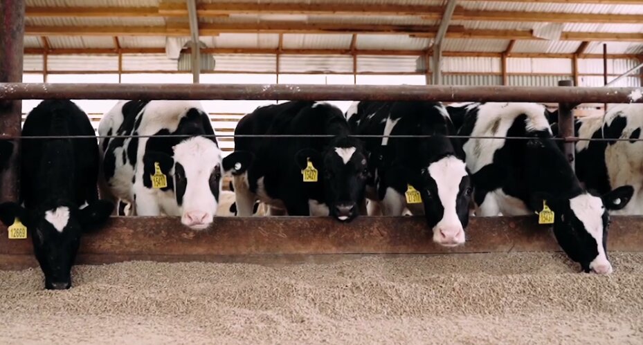 Губернатор Прикамья поздравил с праздником работников сельского хозяйства