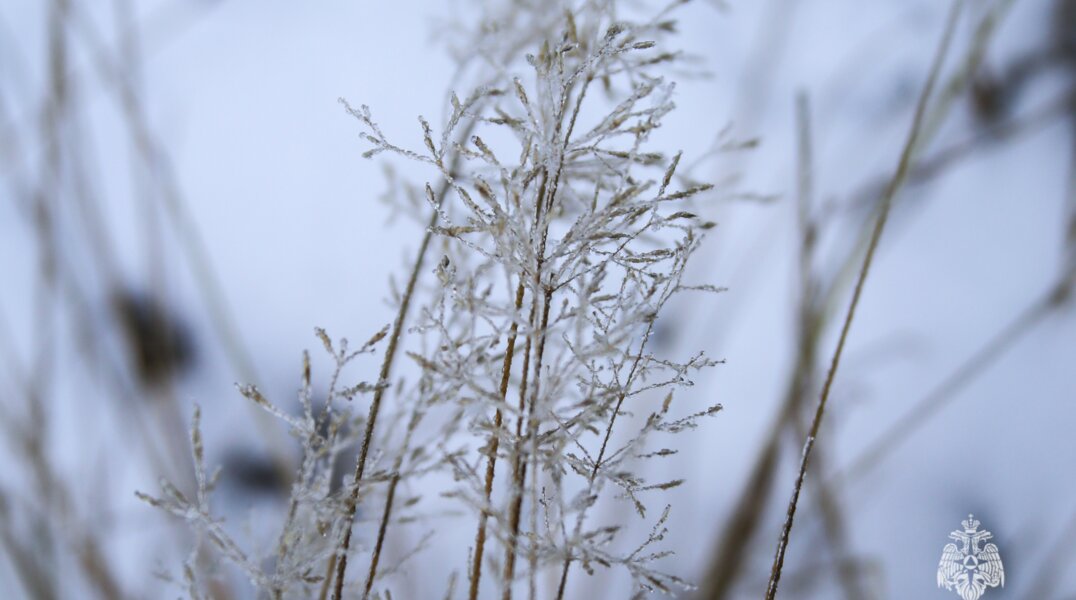 МЧС предупреждает: 20 ноября в Пермском крае ожидается гололедица