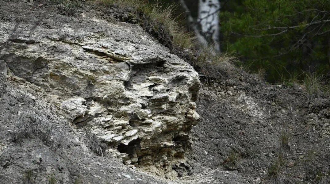 В Прикамье состоится Первый Всероссийский форум детского, молодежного и семейного туризма