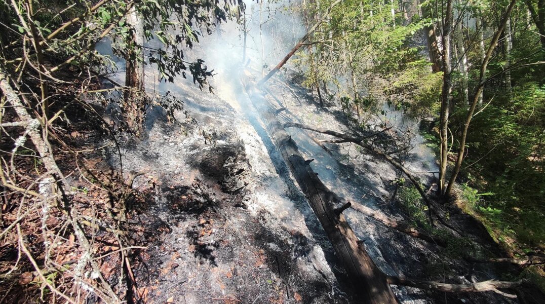 Пермяки уже три дня ищут девочку, которая вышла из дома и не вернулась