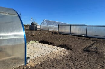 ​Ученые рассказали о главных ошибках пермских дачников в апреле