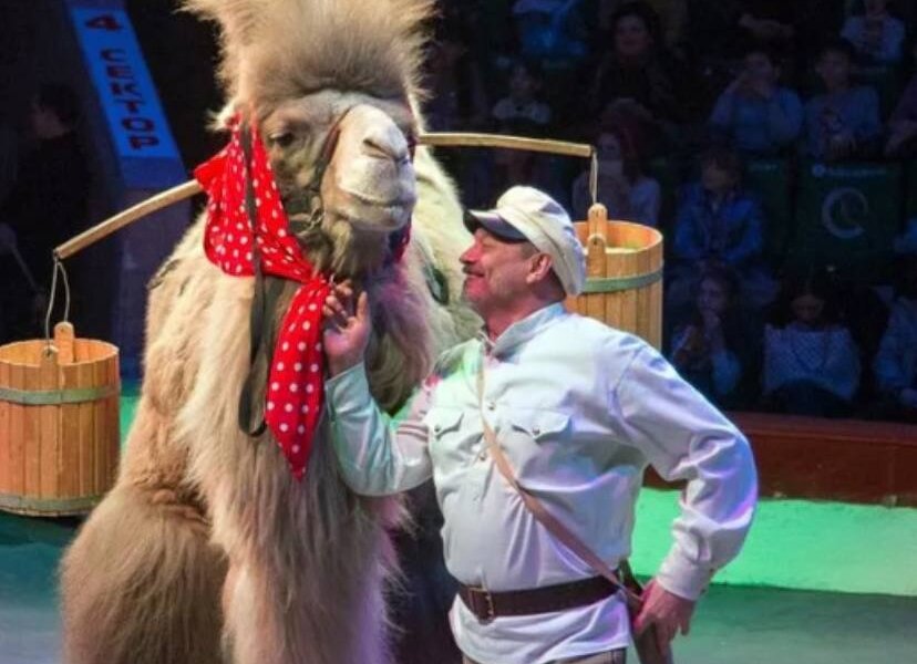 Дрессировщик, избитый ЧОПовцем в Перми отправился на реабилитацию