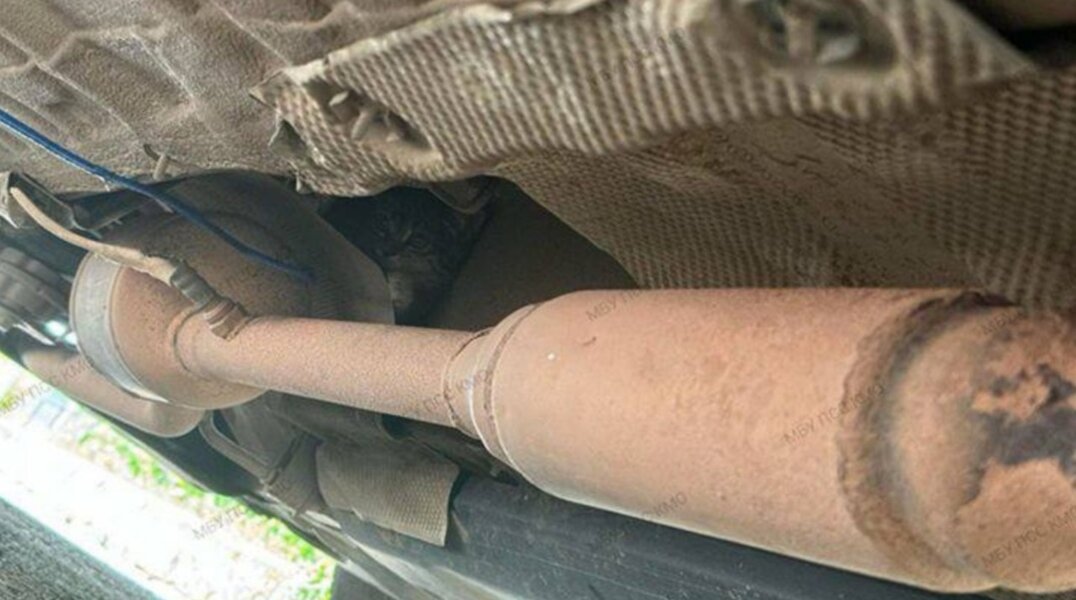 Пермские спасатели достали из-под машины котенка