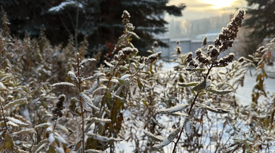 Пермский край накроют снегопады