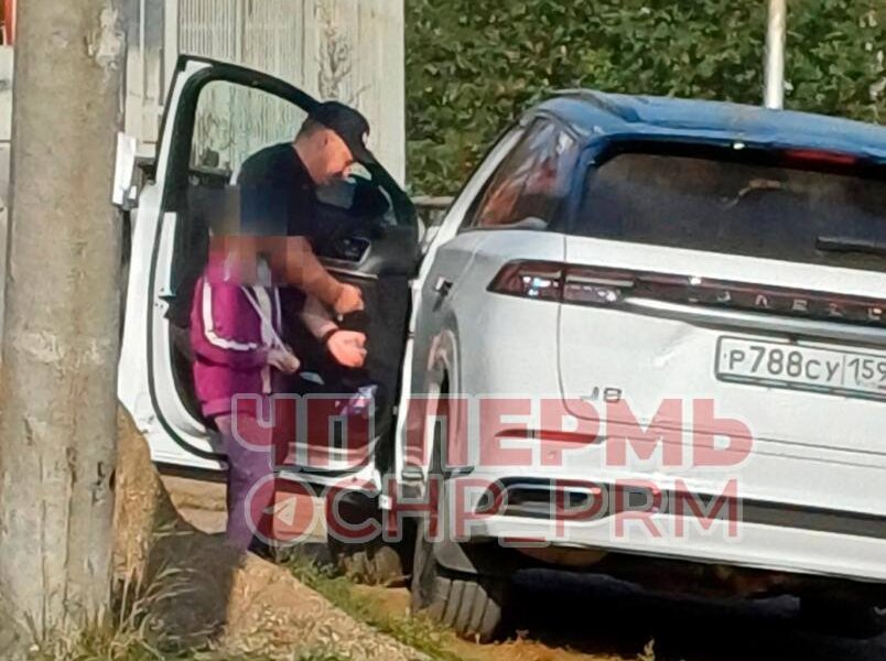 В Перми ищут мужчину, который переехал собаку на глазах у детей