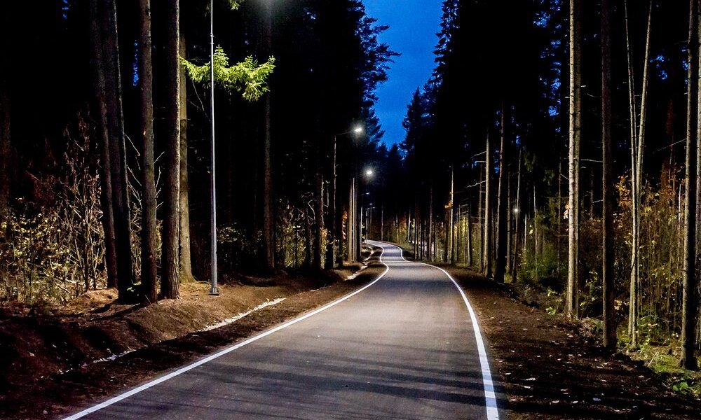 В пермском Черняевском лесу появились новые спортивные дорожки