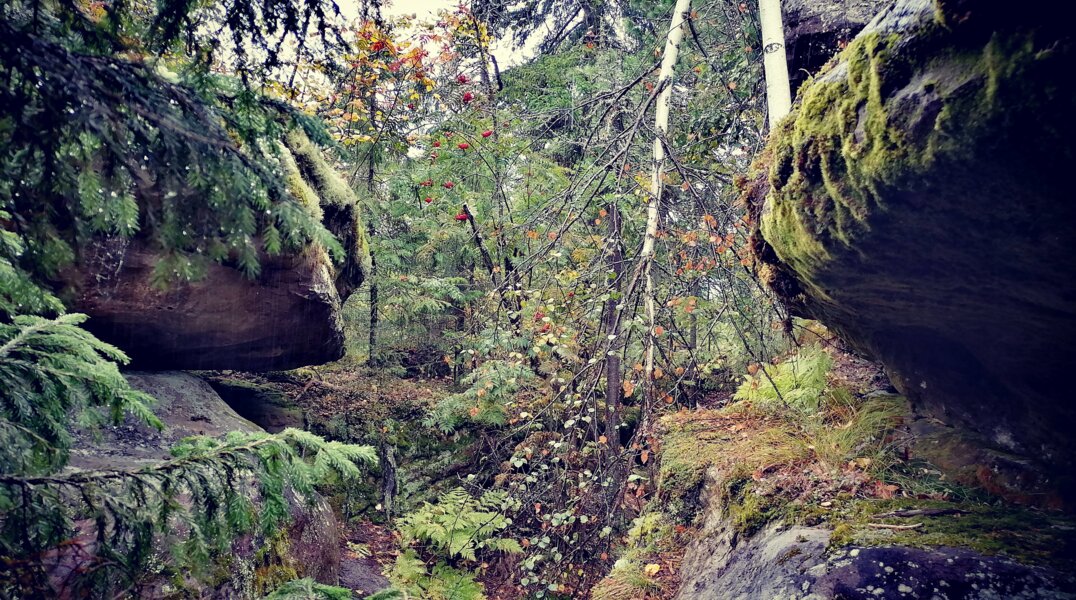 Туристов просят отложить поездки в Каменный город