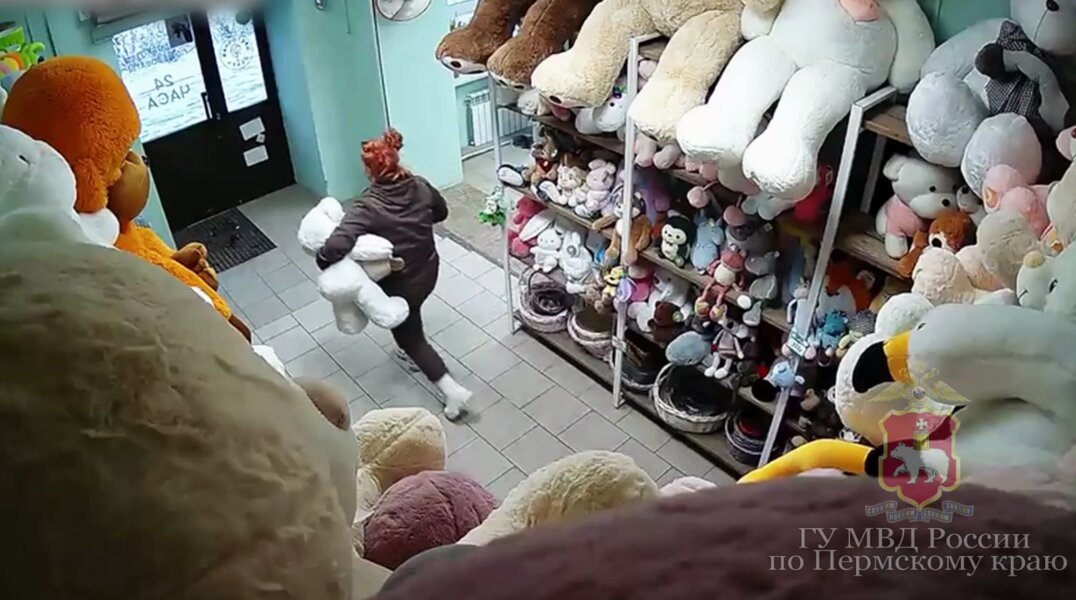 Пермячке может грозить до 4 лет колонии за кражу плюшевых медведя и мопса
