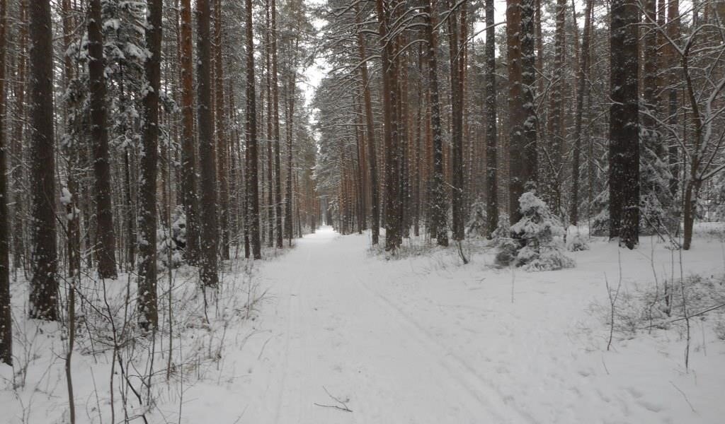 На выходных в Пермский край придет небольшое похолодание и гололедица