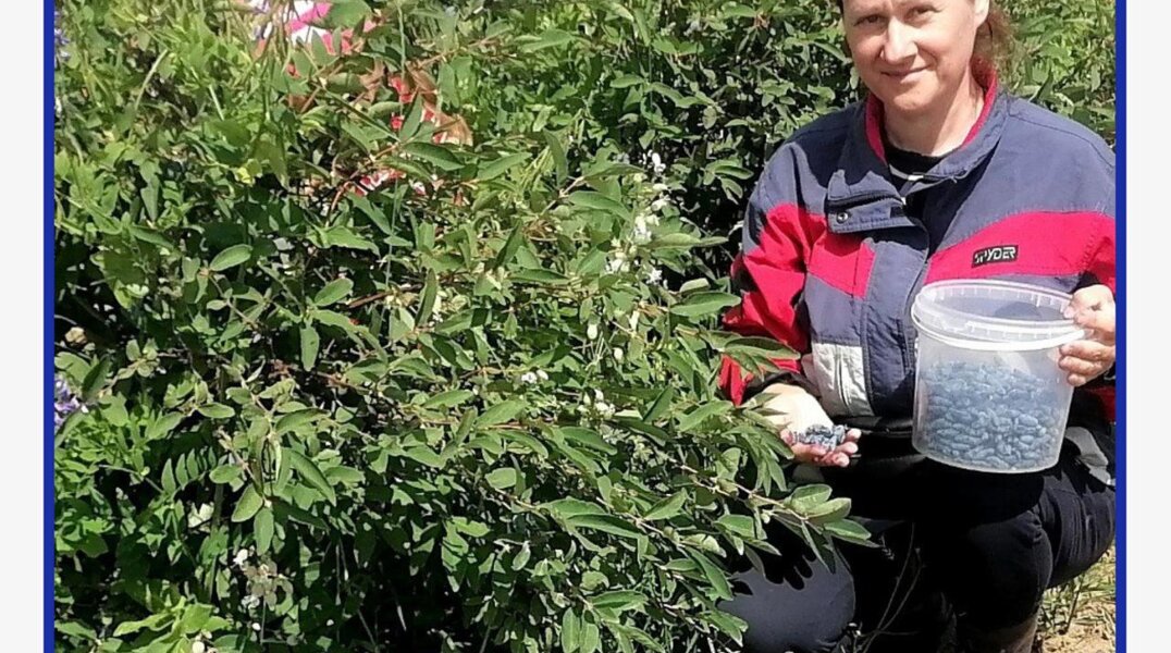 В Пермском крае определили победителей конкурса на получение гранта «Агростартап»