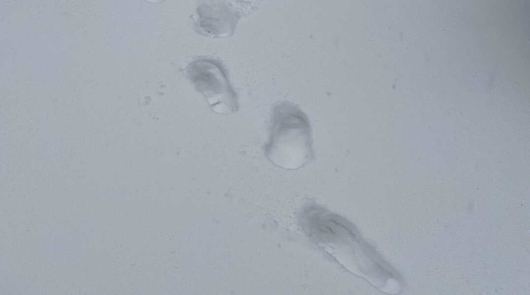 В Перми неизвестный попытался затащить в заброшку маленькую девочку