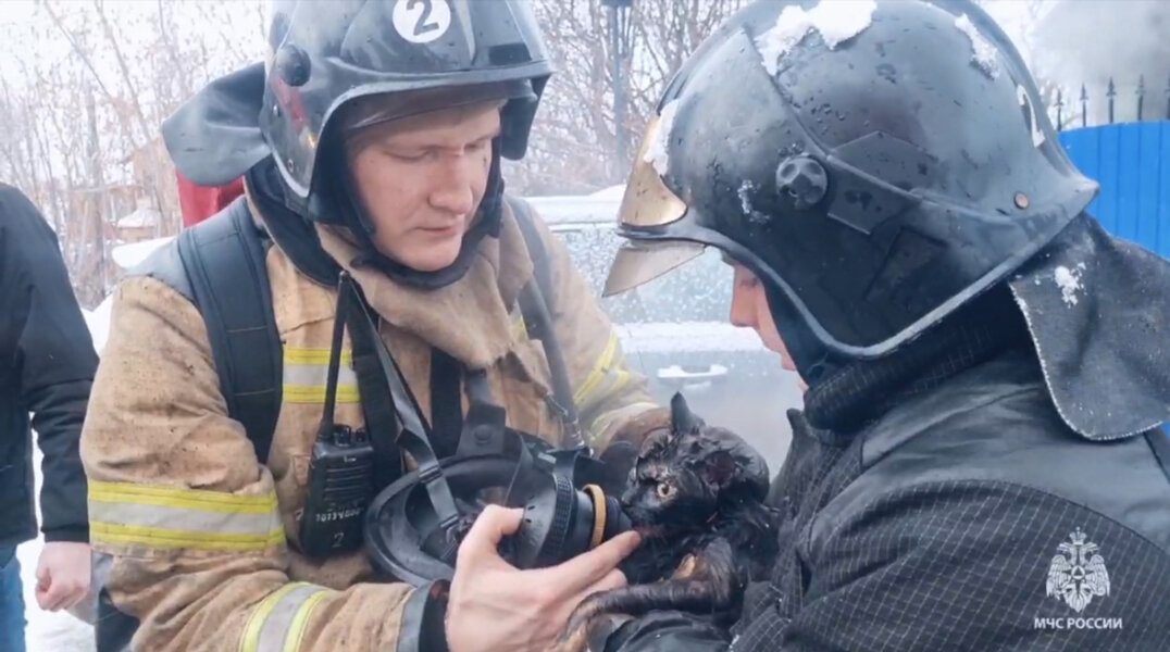 Пермские огнеборцы спасли кошку на пожаре
