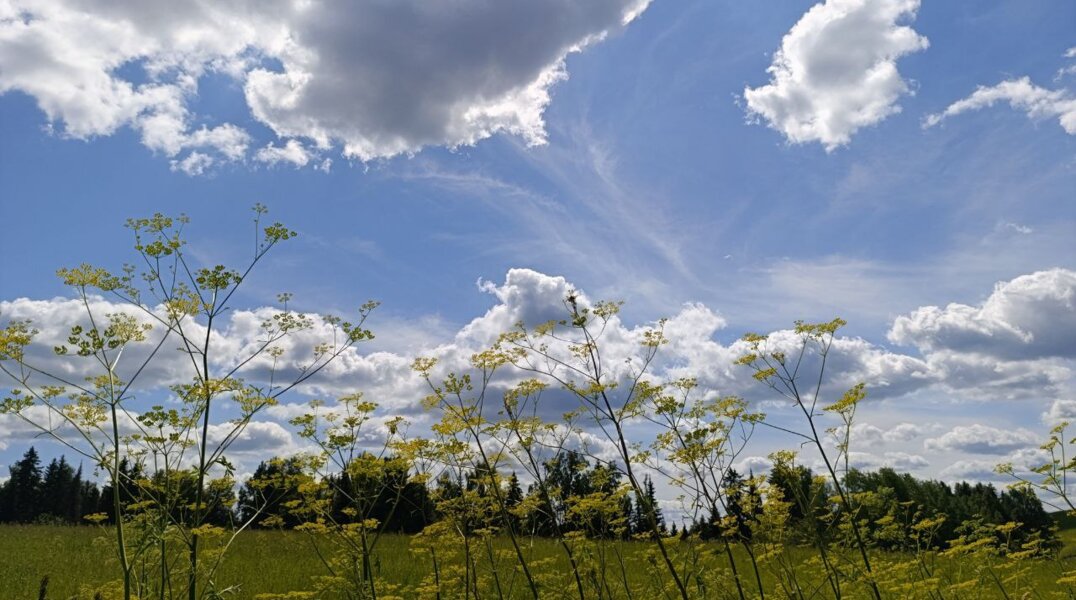 В Пермском крае в выходные ожидается переменчивая погода