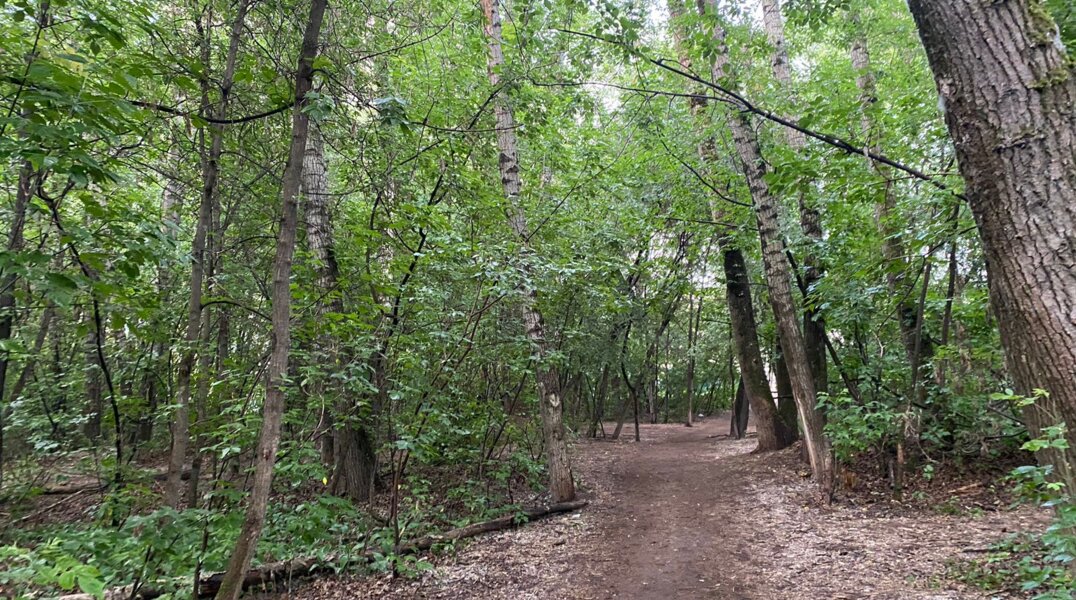 В Прикамье найден мертвым 23-летний парень, пропавший осенью 2023 года