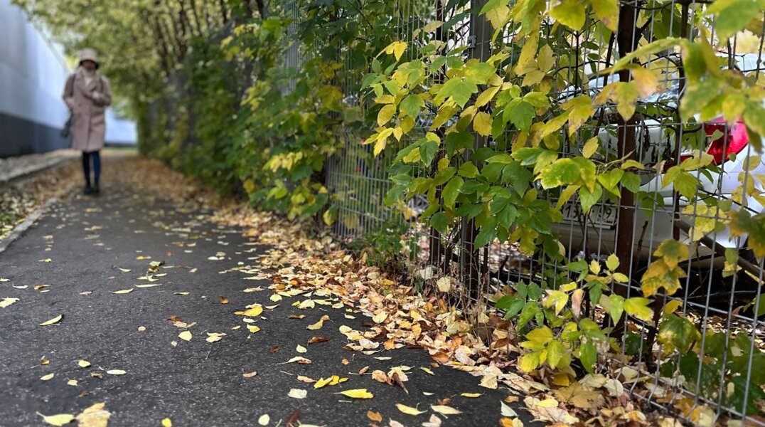 Синоптики прогнозируют конец метеорологического лета в Пермском крае уже на следующей неделе