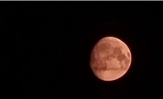 В Перми 18 ноября можно будет наблюдать звездопад Леониды