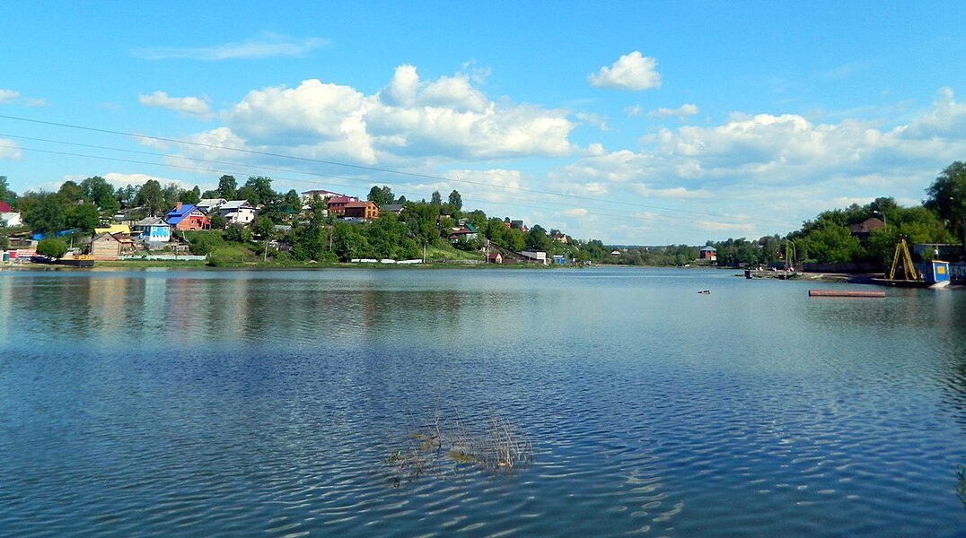 В Пермском крае двухлетний мальчик утонул в заброшенном пруду