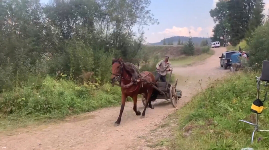 Лошадь из Пермского края получила роль в многосерийном военном детективе «Операция Карпаты»