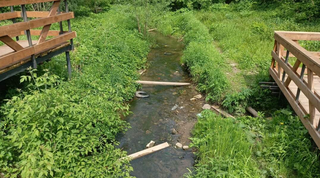 В Перми рядом с рекой Данилихой реализуют проект КРТ