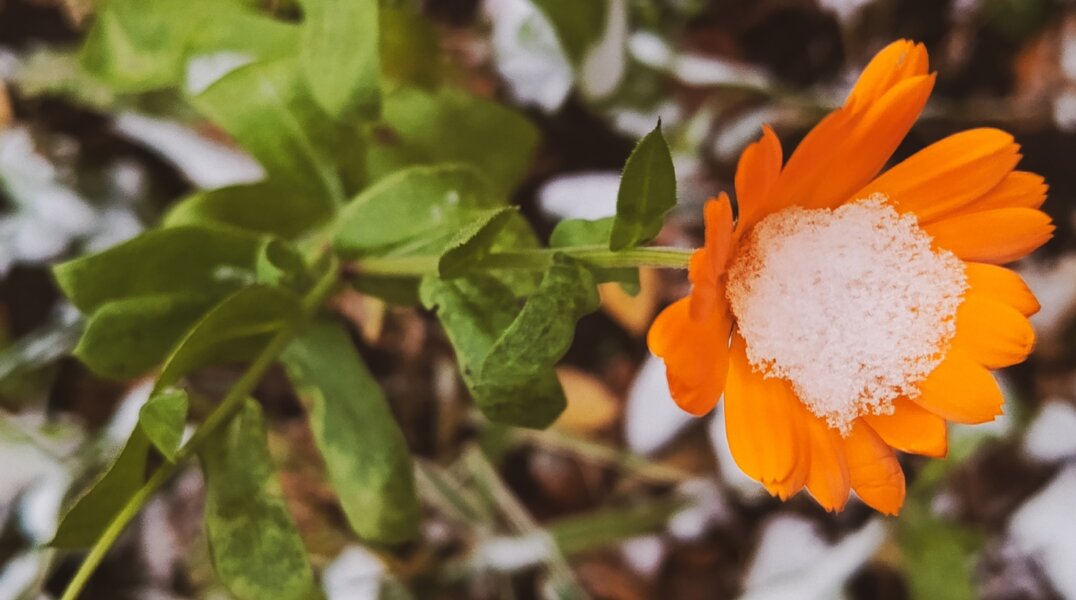 Эксперты рассказали, когда в Прикамье пройдет первый снег
