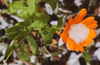 В Пермском крае за четыре дня температура изменилась на 44 градуса