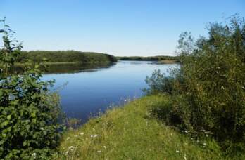 река