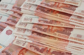 В Прикамье оштрафовали на 40 млн рублей поставщиков корма для кур