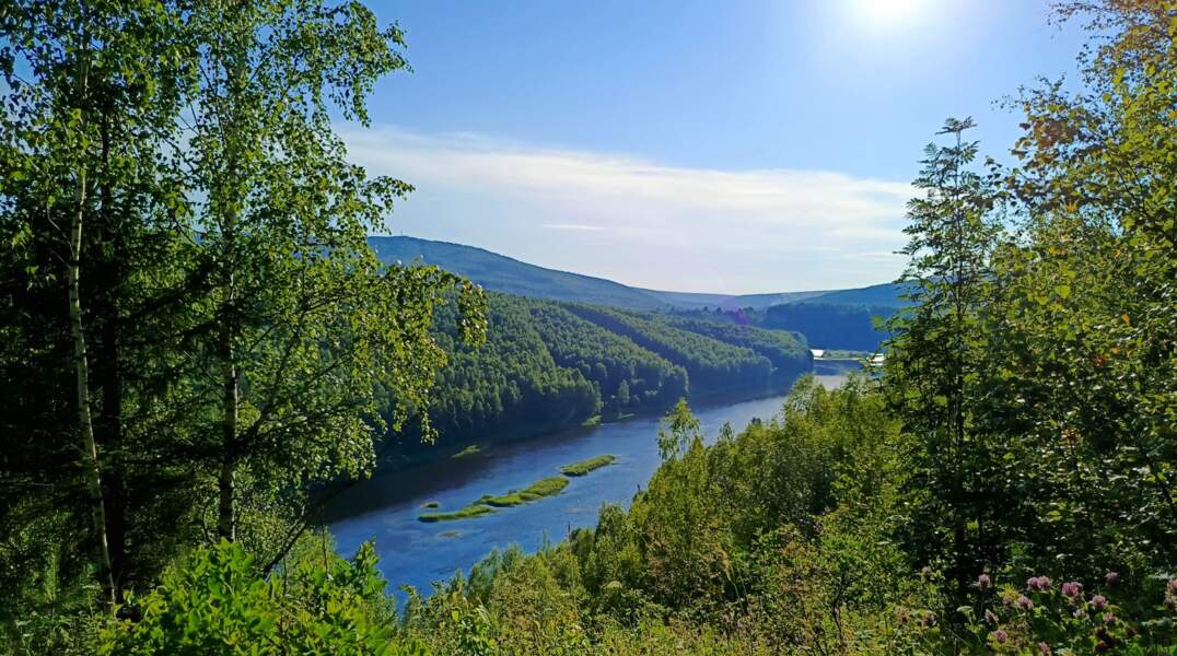 солнце, жара, природа, лес, река