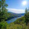солнце, жара, природа, лес, река