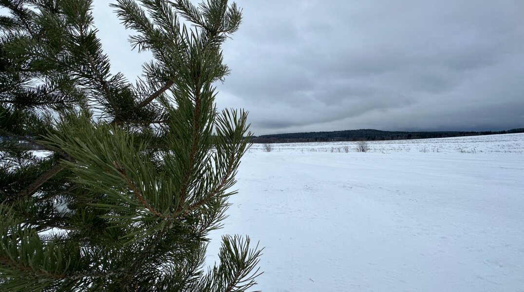 Снежный покров в Перми вырос до 49 сантиметров