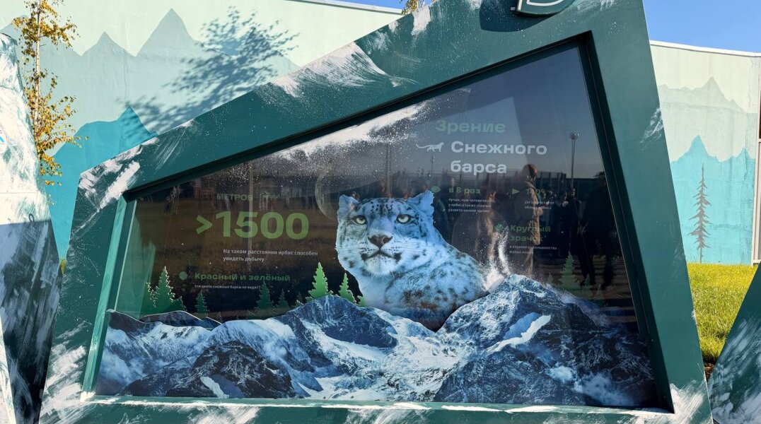 В Перми открылась интерактивная выставка о краснокнижных барсах