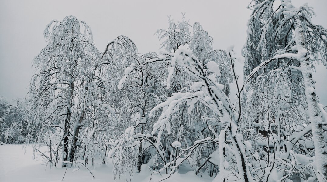 В Перми выпало самое большое количество осадков за последние 143 года