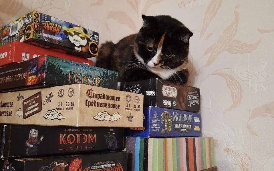 настольные игры 
