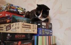 настольные игры 
