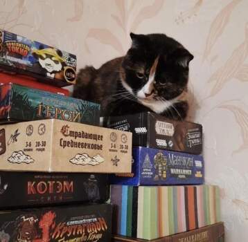 настольные игры 