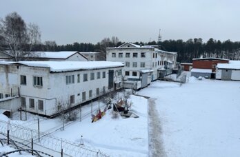 Жительницу Кудымкара отправили в колонию за истязание семилетней дочери