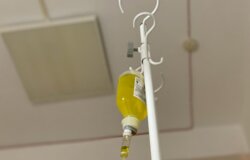 Стали известны подробности о состоянии пострадавшей от стаффордширского терьера жительницы Прикамья