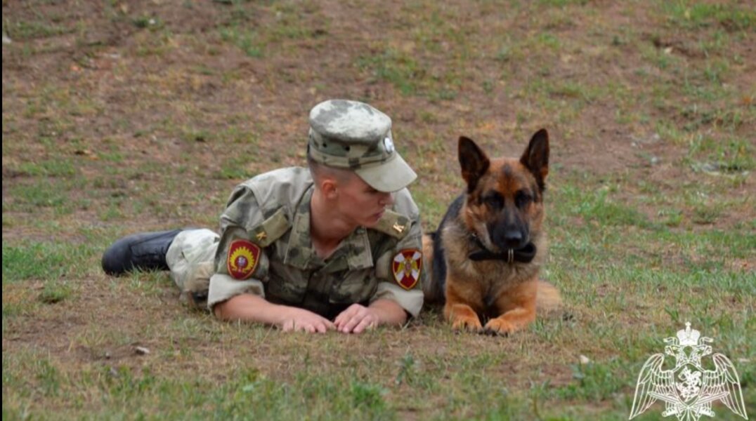 В Перми прошел отбор щенков на военную службу